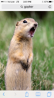 IMG_0901.PNG