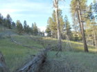 DSCN0057.JPG