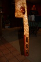 IMG_1392 resized.jpg