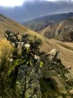 east fork_blm_road creek.jpg