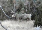 DSCN0181.JPG