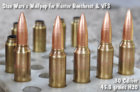 stanpup05x600.jpg