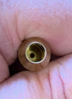 BR Brass 10.jpg