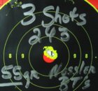 243 55 grain Factor Loads.JPG