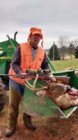 Mr. Buck I.jpg