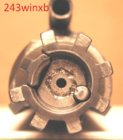M16A1Bolt.JPG