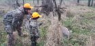 Resized_20181123_171500_7644.jpeg