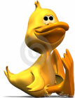 duck-wondering-636504.jpg