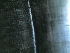 IMG110101-001322F.JPG