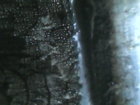 IMG110101-000404F.JPG