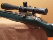 Bat 545 003.JPG