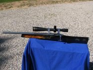 new toy 1.jpg