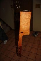IMG_1390 resized.jpg