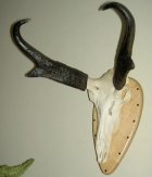 PICT4669.JPG