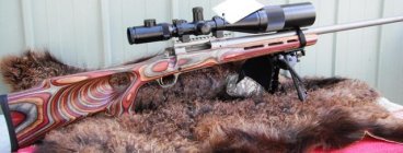 Howa, Parker Hale and Creedmoor 011.JPG