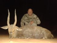 Bushbuck.jpg