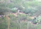 My Buck Sept.jpg