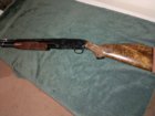 Model 12 Pigeon.jpg