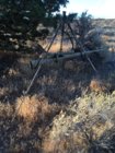 Atlas Tactical in the shade of a juniper.JPG