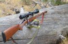 steyr3.JPG