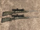 Pair of Rems.jpg