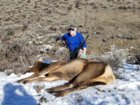 dads 2019 cow.jpg