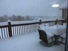 Snow 2019-01 Backyard IMG_3178.jpg