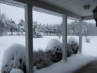 Snow 2019-01 Front IMG_3180.jpg