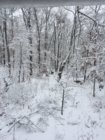 20E70D38-0521-4702-8E1F-5C5BD762EFDA.jpeg