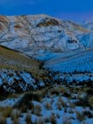 IMG_2662.jpg