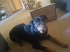20180224_161648.jpg