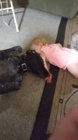 20160627_162408.jpg