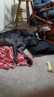 20161029_204038.jpg