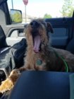 20180511_101537_resized.jpg