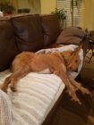 20180106_213021_resized.jpg