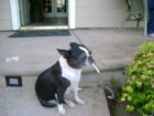 DSC00391.JPG