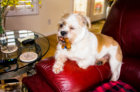 DSC06659-2.jpg