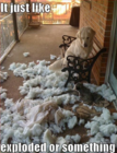 exploded.png