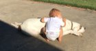 Baby Sitter.JPG