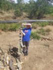 Iguana hunting.jpg