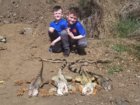 Iguana hunting 3.jpg