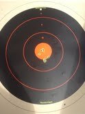 syd target.jpg