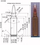 300wsm.jpg