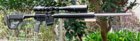 22N28inch21pound.jpg