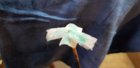20190328_090257.jpg