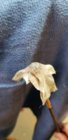 20190328_090426.jpg