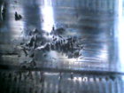 IMG110101-001554F.JPG