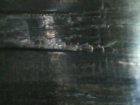 IMG110101-000250F.jpg