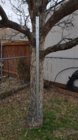 20190408_140802.jpg