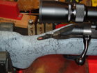 Rifle Pictures, RAP 001.JPG